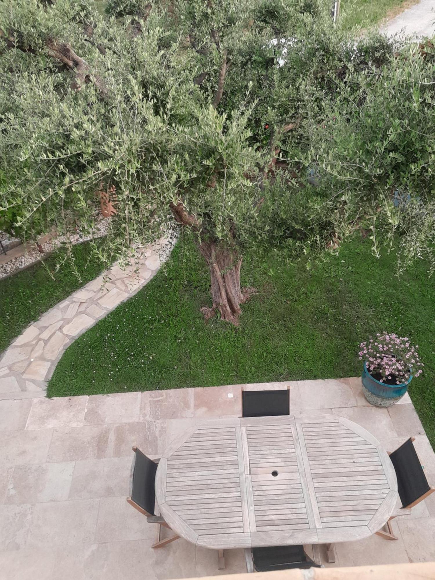 Chambres D Hotes Violetta Hyeres Luaran gambar